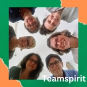 Teamspirit