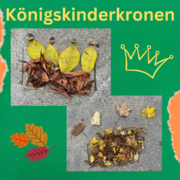 Königskinderkronen